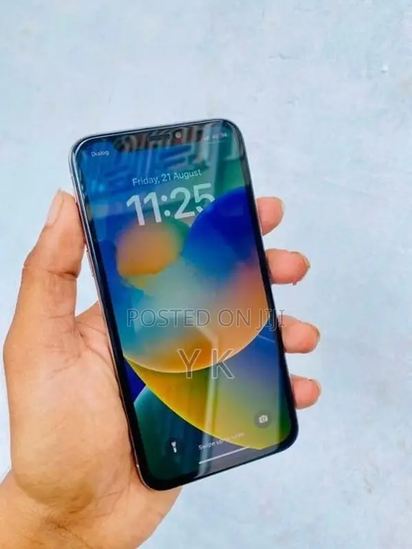 Apple iPhone X 256Gb (Used)