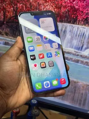 Apple iPhone 13 Pro Max (Used)