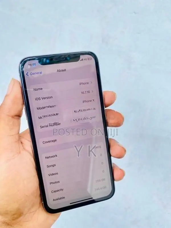 Apple iPhone X 256Gb (Used)