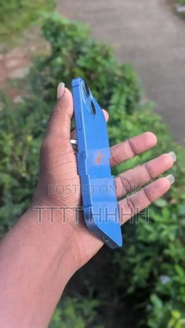 Apple iPhone 13 (Used)