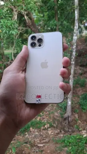 Apple iPhone 12 Pro (Used)