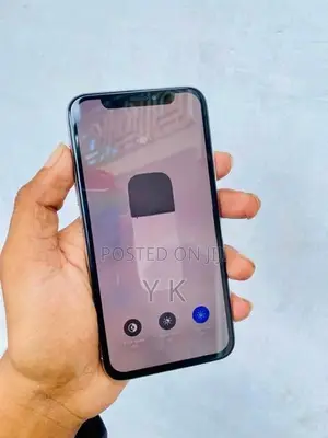 Apple iPhone X 256Gb (Used)