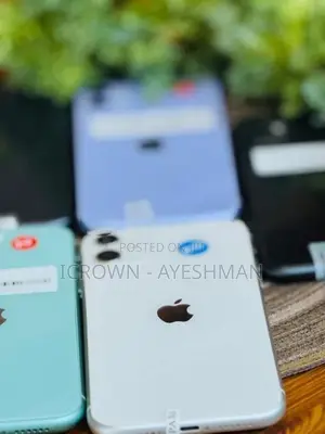 Apple iPhone 11 256GB (Used)