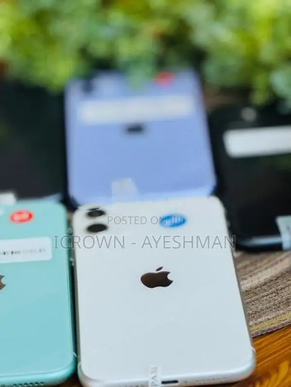 Apple iPhone 11 256GB (Used)