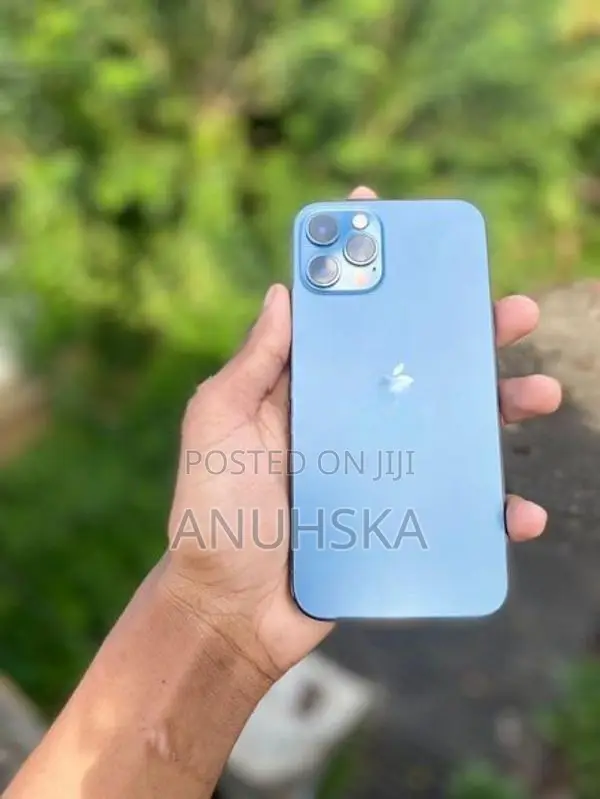 Apple iPhone 12 Pro (Used)