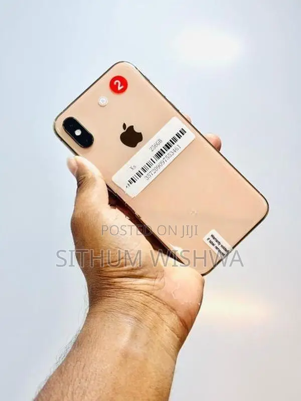 Apple iPhone XS 256GB (Used)