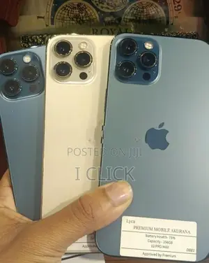Apple iPhone 12 Pro (Used)