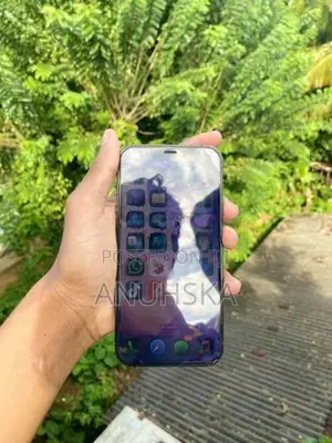 Apple iPhone 12 Pro (Used)