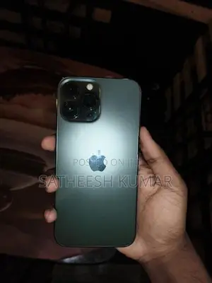 Apple iPhone 13 Pro Max (Used)