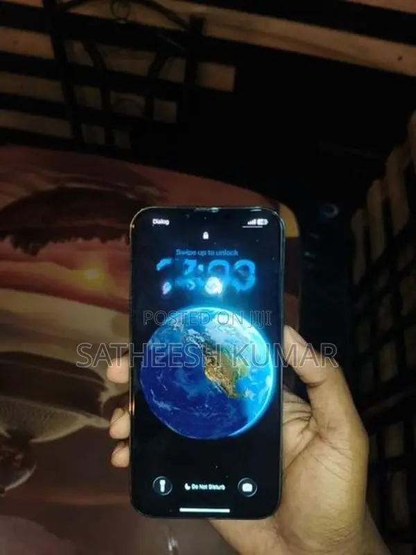 Apple iPhone 13 Pro Max (Used)