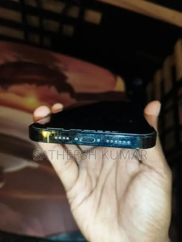 Apple iPhone 13 Pro Max (Used)