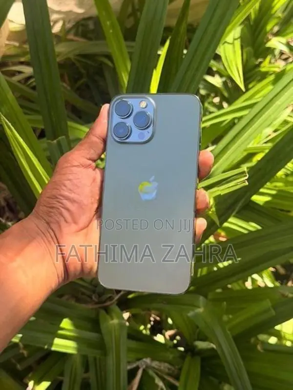 Apple iPhone 13 Pro Max (Used)