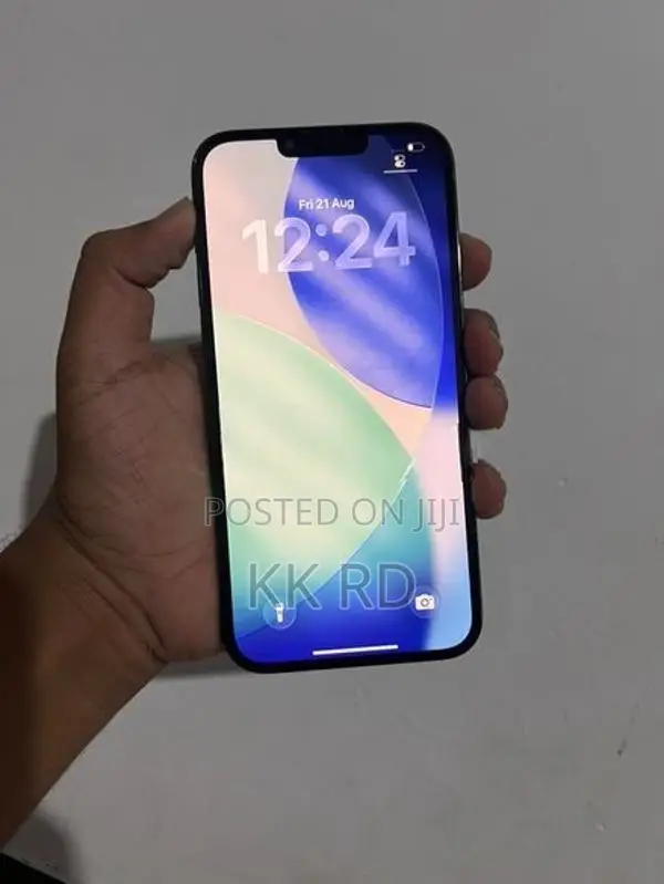 Apple iPhone 13 Pro Max 256GB (Used)