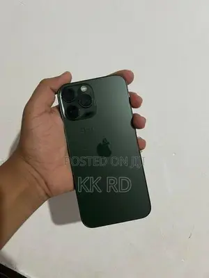 Apple iPhone 13 Pro Max 256GB (Used)