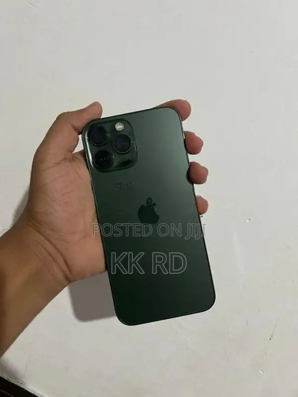 Apple iPhone 13 Pro Max 256GB (Used)