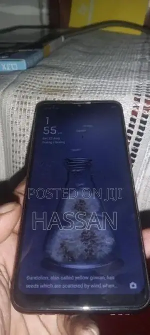 Oppo A31 (Used)