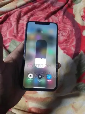 Apple iPhone XS Max (Used)