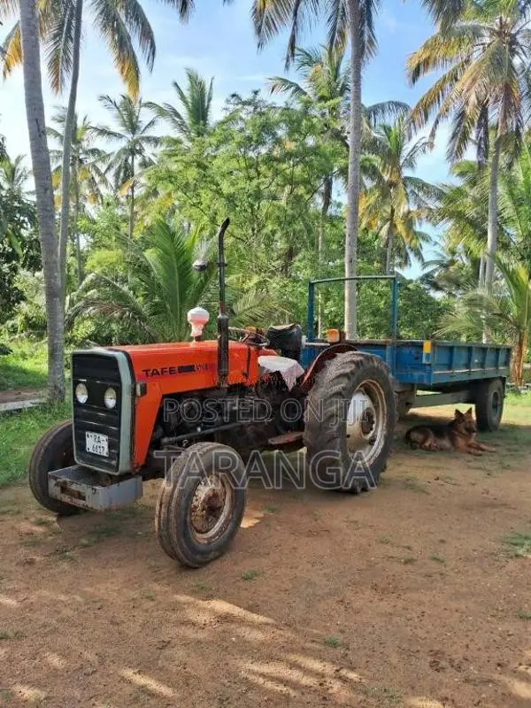 TAFE 45DI 2007 Tractor (Used)