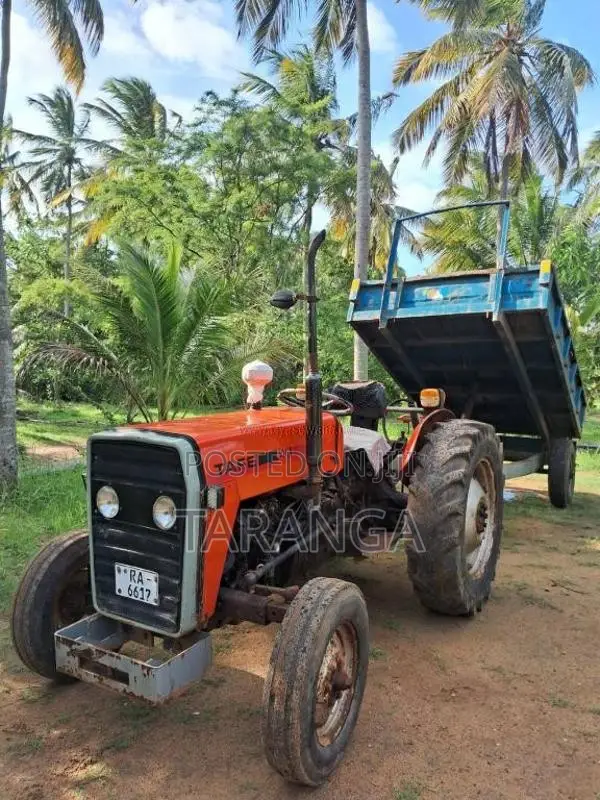 TAFE 45DI 2007 Tractor (Used)