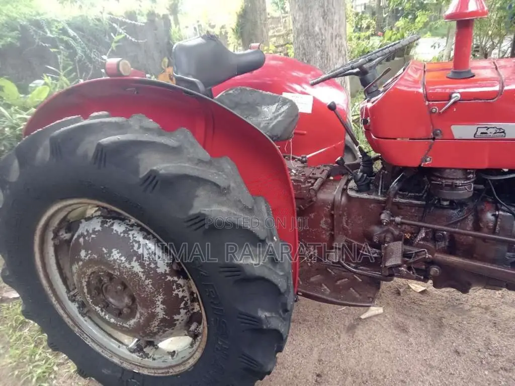Massey-Ferguson 135 D 1988 Tractor (Used)