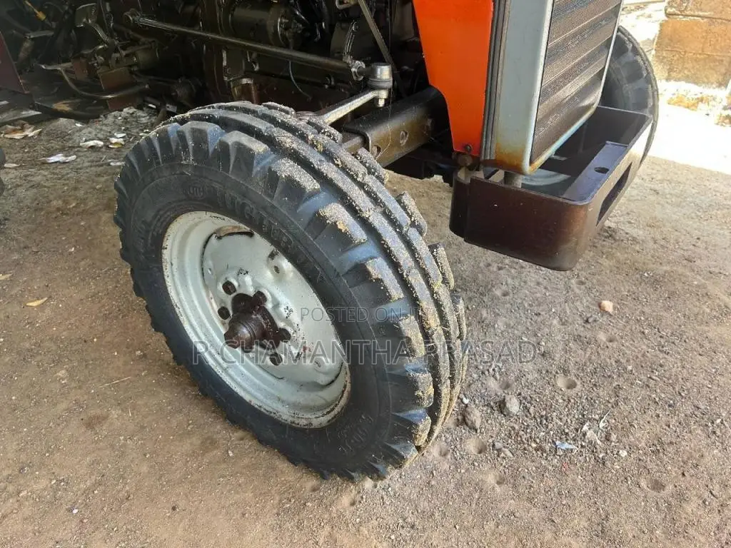 TAFE 45DI 2019 Tractor (Used)