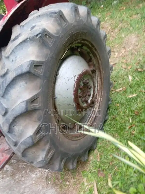 Massey-Ferguson 135 DL 1980 Tractor (Used)