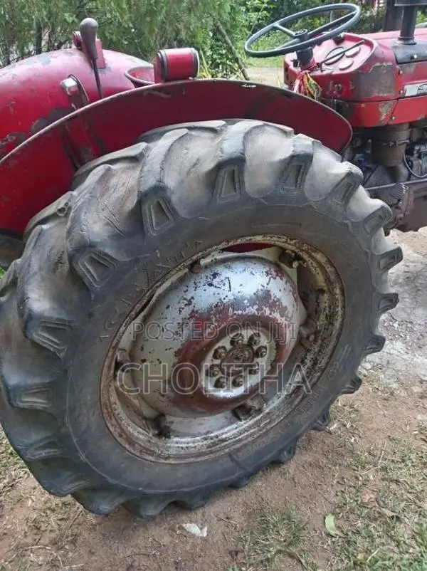 Massey-Ferguson 135 DL 1980 Tractor (Used)