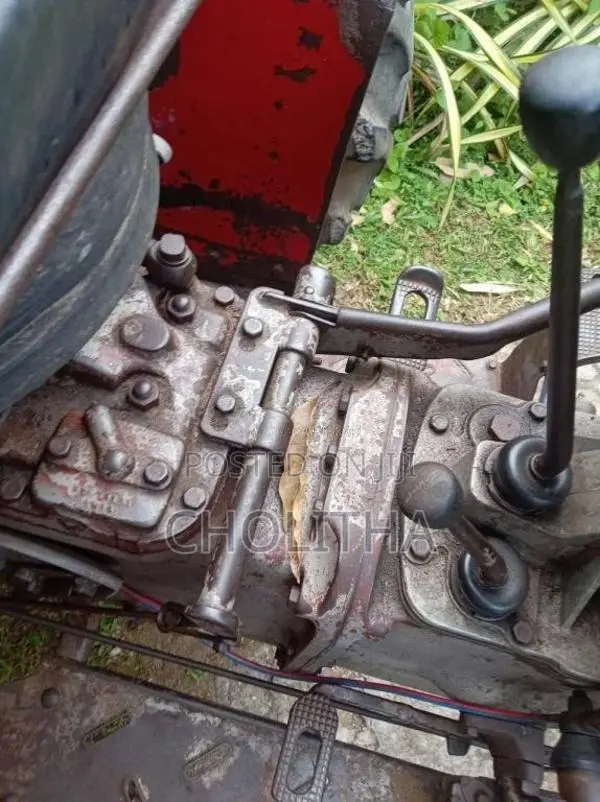 Massey-Ferguson 135 DL 1980 Tractor (Used)
