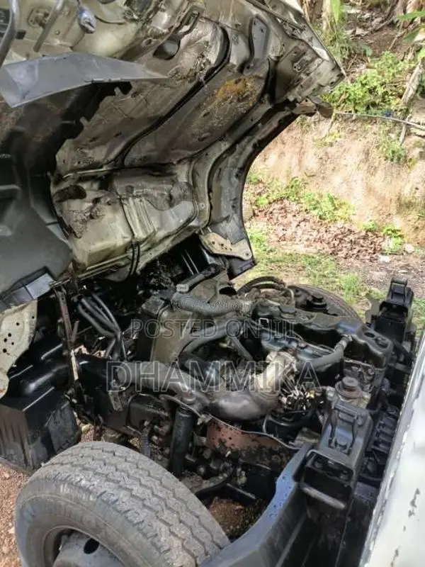 Isuzu NHR 69E 2004 Lorry (Used)
