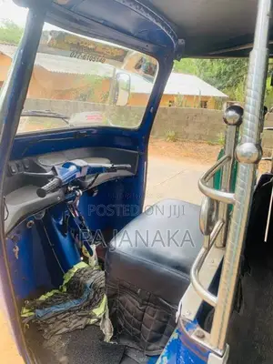 Piaggio Ape 2010 Three Wheel (Used)