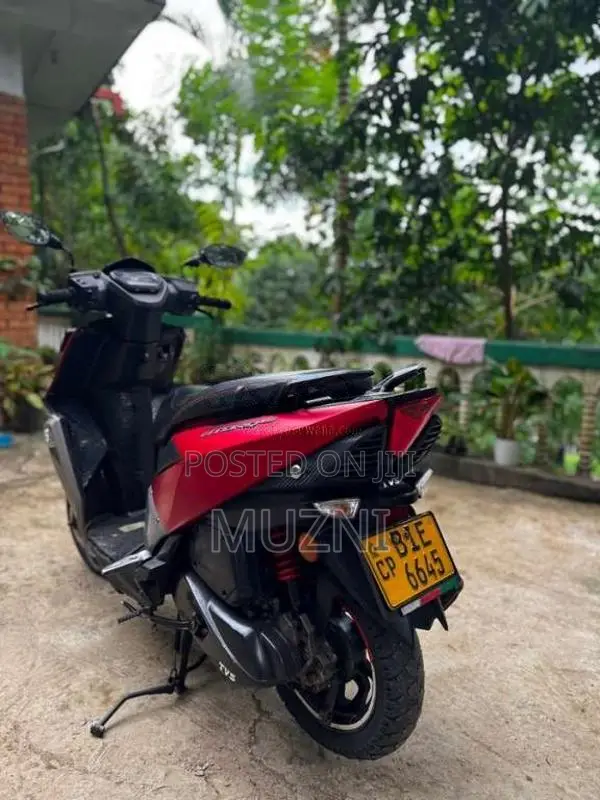 TVS Ntorq 2019 Motorbike (Used)