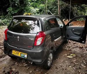 Suzuki Alto 2015 Car (Used)