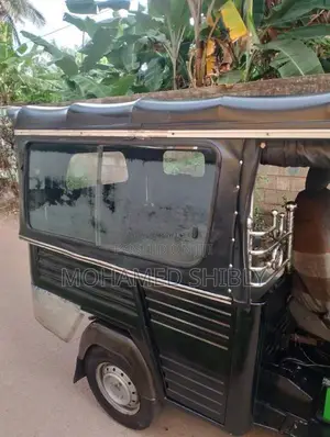Piaggio Ape 2010 Three Wheel (Used)