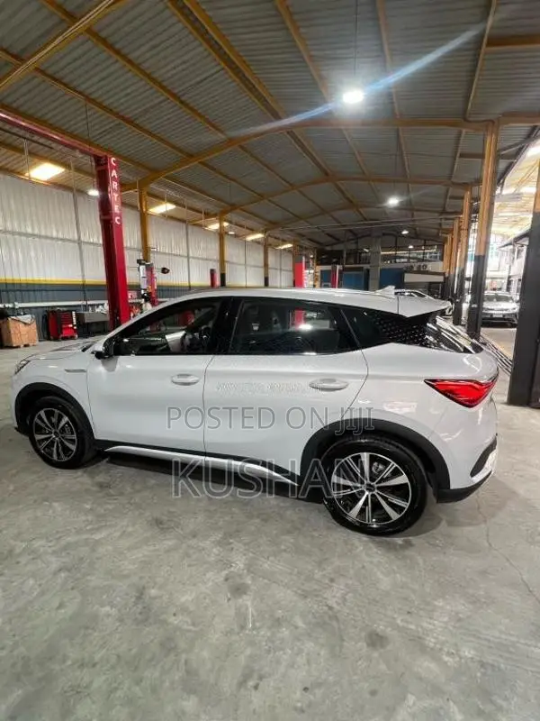 BYD Atto 3 2025 Car (Used)