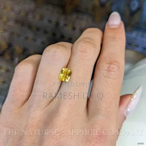 Photography Videography Hand Modeling