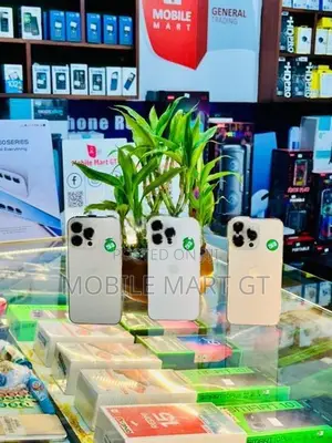 Apple iPhone 13 Pro LL/A (Used)