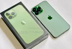 Apple iPhone 13 Pro Max 256GB (Used)