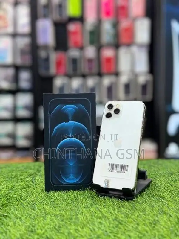 Apple iPhone 12 Pro Max 256GB (Used)