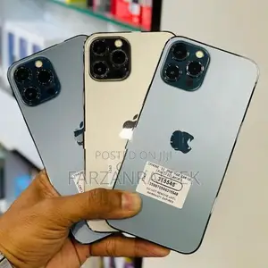 Apple iPhone 12 Pro Max | 256GB (Used)