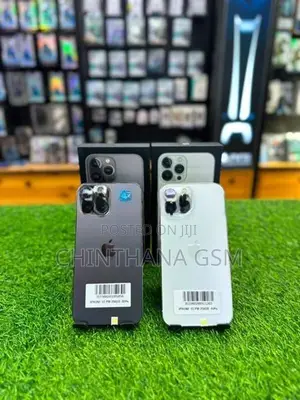 Apple iPhone 13 Pro Max 256GB (Used)