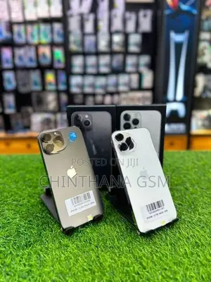 Apple iPhone 13 Pro Max 256GB (Used)
