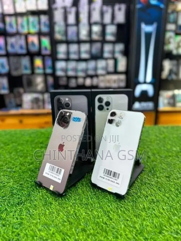 Apple iPhone 13 Pro Max 256GB (Used)