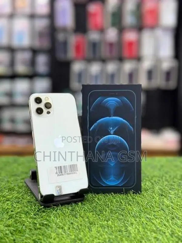 Apple iPhone 12 Pro Max 256GB (Used)