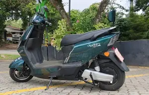 Auchev Pisces E-Bike 2026