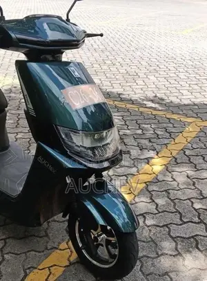 Auchev Pisces E-Bike 2026