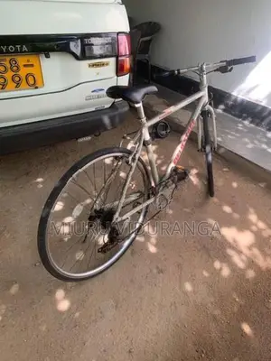 Japan Allow Bicycle