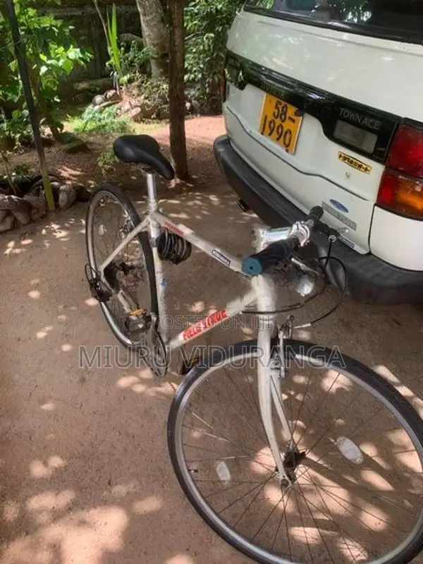 Japan Allow Bicycle