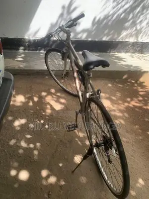 Japan Allow Bicycle