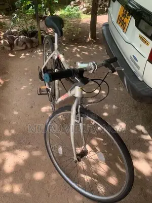 Japan Allow Bicycle
