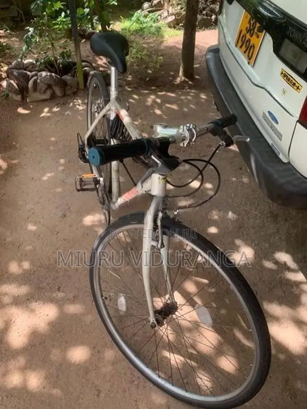 Japan Allow Bicycle